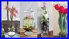 10-Water-Flowers-That-Grow-In-Containers-And-Vases-01-qqvu