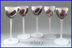 5 verres pâte de verre gravé acide fleurs Art Nouveau Croismare Era Daum gallé