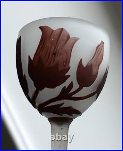 5 verres pâte de verre gravé acide fleurs Art Nouveau Croismare Era Daum gallé