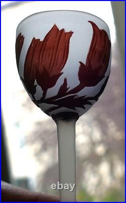 5 verres pâte de verre gravé acide fleurs Art Nouveau Croismare Era Daum gallé