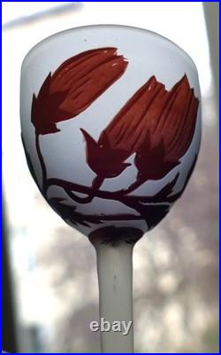 5 verres pâte de verre gravé acide fleurs Art Nouveau Croismare Era Daum gallé