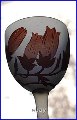 5 verres pâte de verre gravé acide fleurs Art Nouveau Croismare Era Daum gallé