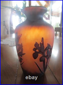 Ancien et rare vase signé La Rochère