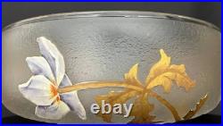 Coupe Art Nouveau en verre givré émaillé Legras, Montjoye Saint-Denis