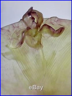 Daum France grande coupe en pâte de verre à décor d'iris de 33cm ref 01633