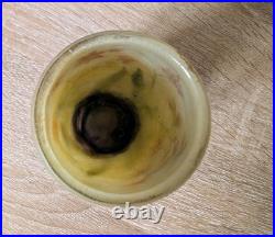 Daum Nancy Vase Lis Des Cafres 1900-1915