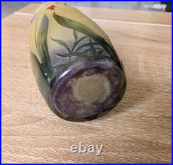 Daum Nancy Vase Lis Des Cafres 1900-1915
