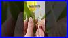 Do-This-With-Tulips-They-Will-Stay-In-Vase-Much-Longer-01-qvns