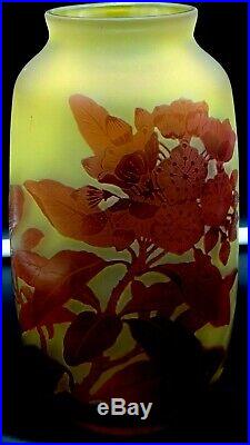 EXCEPTIONNEL, Splendide vase en pâte de verre gravé à l'acide signé Gallé