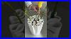 Easy-Flower-Arrangement-The-Ultimate-Aesthetic-Vase-For-Stunning-Centerpieces-01-cf