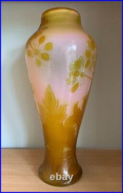 Émile GALLÉ, vase decorated with umbels vase au décor d'ombelles