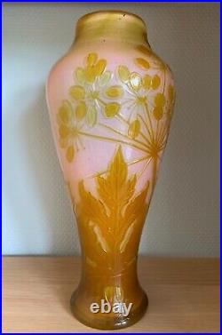 Émile GALLÉ, vase decorated with umbels vase au décor d'ombelles