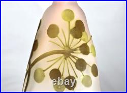 Emile Gallé Beau Vase aux Ombelles Pâte de Verre Gravé Art Nouveau Daum