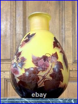 Émile Gallé Important vase piriforme à décor d'abutilons, Art Nouveau