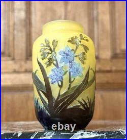 Emile Gallé Petit vase à décor de jacinthes en verre multicouche, Art Nouveau