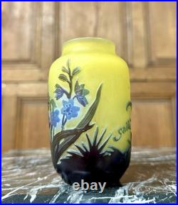 Emile Gallé Petit vase à décor de jacinthes en verre multicouche, Art Nouveau
