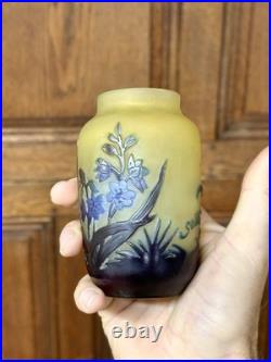 Emile Gallé Petit vase à décor de jacinthes en verre multicouche, Art Nouveau