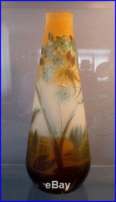 Emile Gallé Vase à décor de plantes aquatiques superbes couleurs 27,5cm