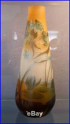 Emile Gallé Vase à décor de plantes aquatiques superbes couleurs 27,5cm