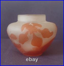 Ets GALLE, très joli vase en verre multicouche à décor floral