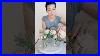 How-To-Make-MIX-And-Match-Bud-Vases-With-Only-A-Few-Stems-Of-Flowers-Floraldesign-Roses-Flowers-01-my