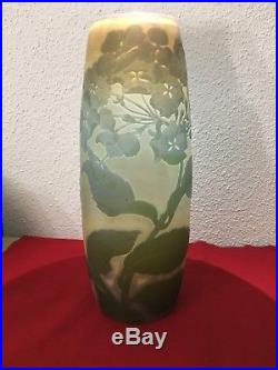 Important Et Rare Vase Emile Galle 31 Cm Hauteur