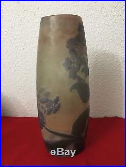 Important Et Rare Vase Emile Galle 31 Cm Hauteur