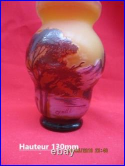 Intéressant Vase signé GALLE à décor de végétaux dégagés à l'acide