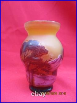 Intéressant Vase signé GALLE à décor de végétaux dégagés à l'acide