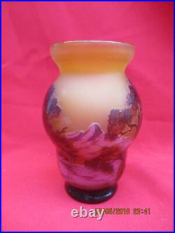 Intéressant Vase signé GALLE à décor de végétaux dégagés à l'acide