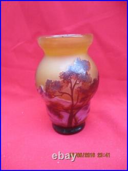 Intéressant Vase signé GALLE à décor de végétaux dégagés à l'acide