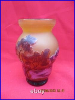 Intéressant Vase signé GALLE à décor de végétaux dégagés à l'acide