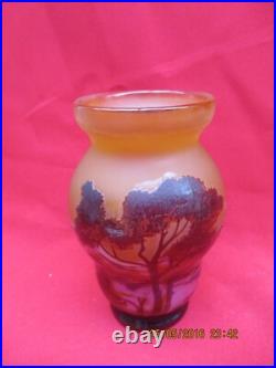 Intéressant Vase signé GALLE à décor de végétaux dégagés à l'acide