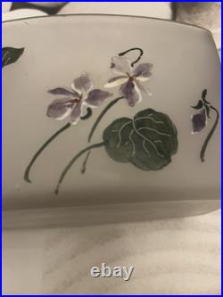 Jardinière En Verre Givre avec violettes Jardinière En Verre Givre avec violettes