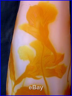 Joli gros vase Gallé à décor de capucines, 28 cm, era daum, NO COPY