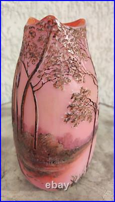 Legras vase signé d un verrier français dégagé a l'acide arts Nouveau 1880