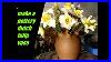 Making-A-Simple-Pottery-Tulip-Vase-498-500-Video-Vases-01-ia