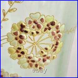 Paire de Vases en Verre Émaillé Fleurs Ombellifères Bords Godronés Art Nouveau