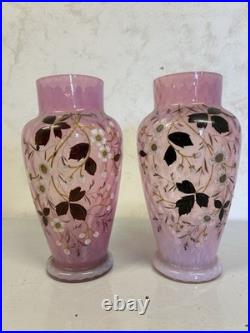 Paire de vases En Verre Décor Floral