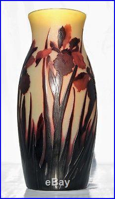 Paul Nicolas Grand Vase Pâte de Verre Gravé St Louis Nancy ArtDéco gallé Ht30cm