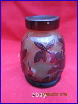 Petit Vase à décor de végétaux dégagés à l'acide (cerises et feuilles)