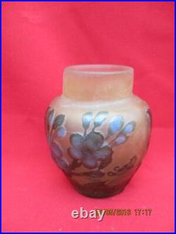 Petit Vase signé GALLE TIP à décor de végétaux dégagés à l'acide Petit Vase signé GALLE TIP à décor de végétaux dégagés à l'acide