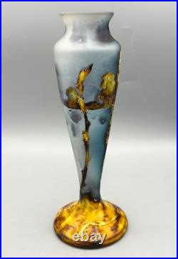 Rare Vase Art Nouveau Fluogravure Abeille Et Fleurs De Coton Muller Freres 1900