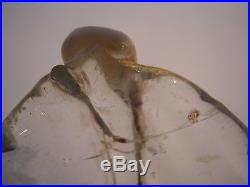 Superbe Vase 1900 Emile Galle Nancy Verre Emaille Art Nouveau No Pate De Verre