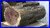 See-The-Beauty-Inside-This-Log-Wood-Turning-01-fot