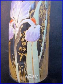Superbe Vase Art Nouveau Aux Iris Violets, Verre Emaille Legras Montjoye