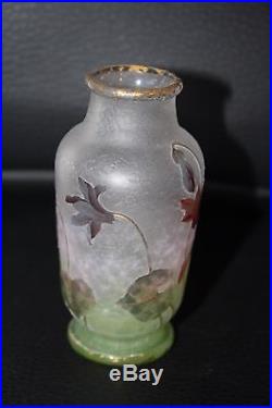 Tres Joli Vase Daum