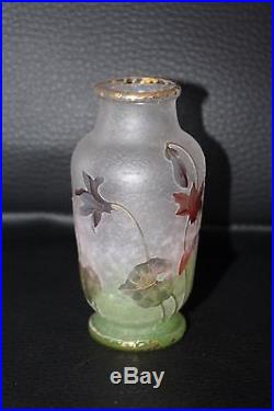 Tres Joli Vase Daum