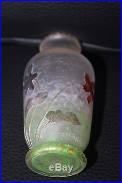 Tres Joli Vase Daum