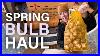 Thousands-Of-Spring-Bulbs-Arrived-Unboxing-My-Flower-Farm-Order-Tulips-Daffodils-More-01-kirn